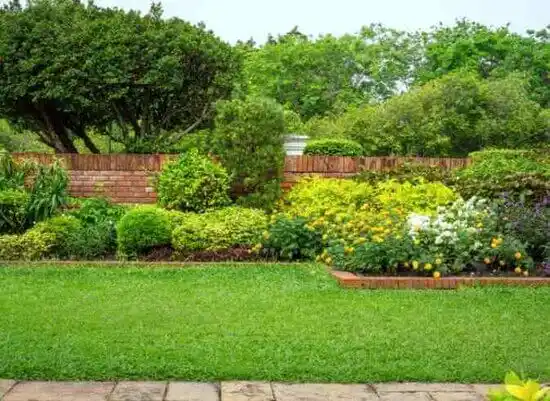 landscaping services Clarksdale